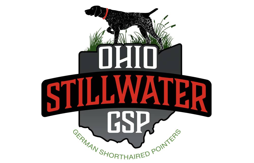 Ohio Stillwater GSP | Welborn Creative